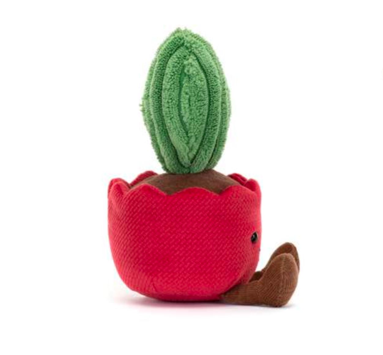 Valentines | Amuseable - Kerrii Cactus