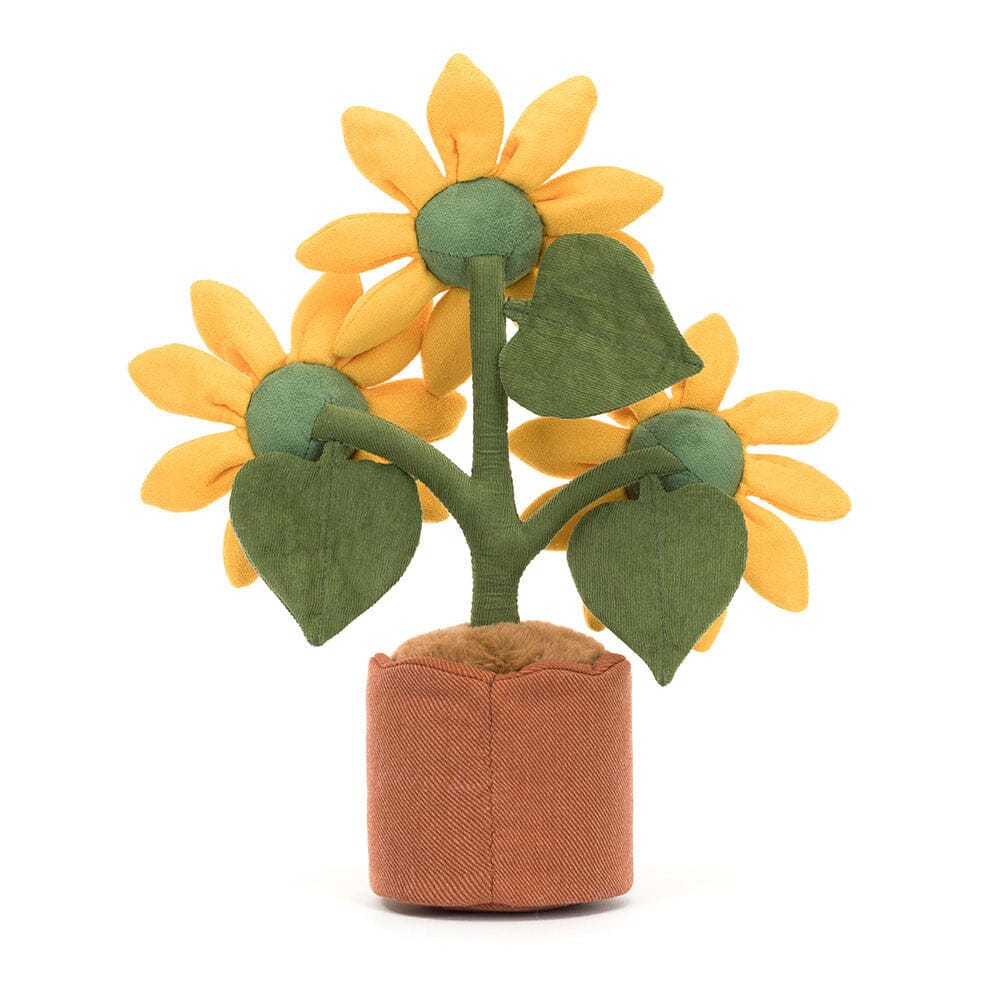 Potted Sunflower
