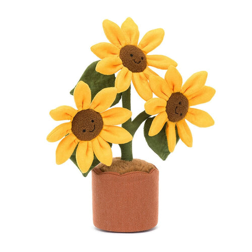 Potted Sunflower