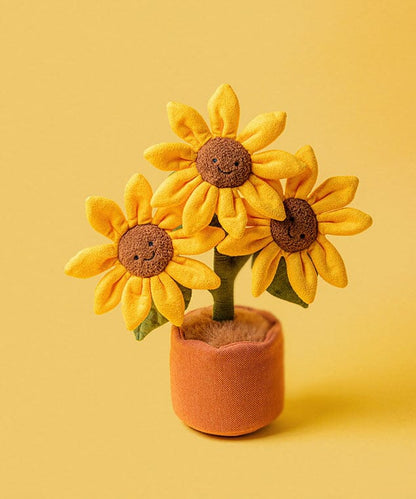 Potted Sunflower