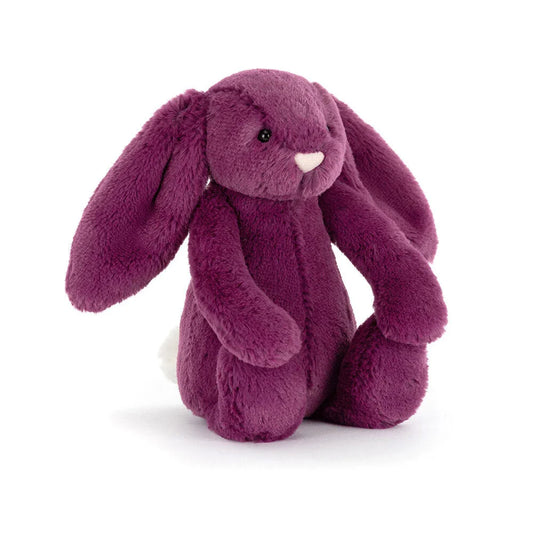 Bashful Bunny | Allium Little (Small)