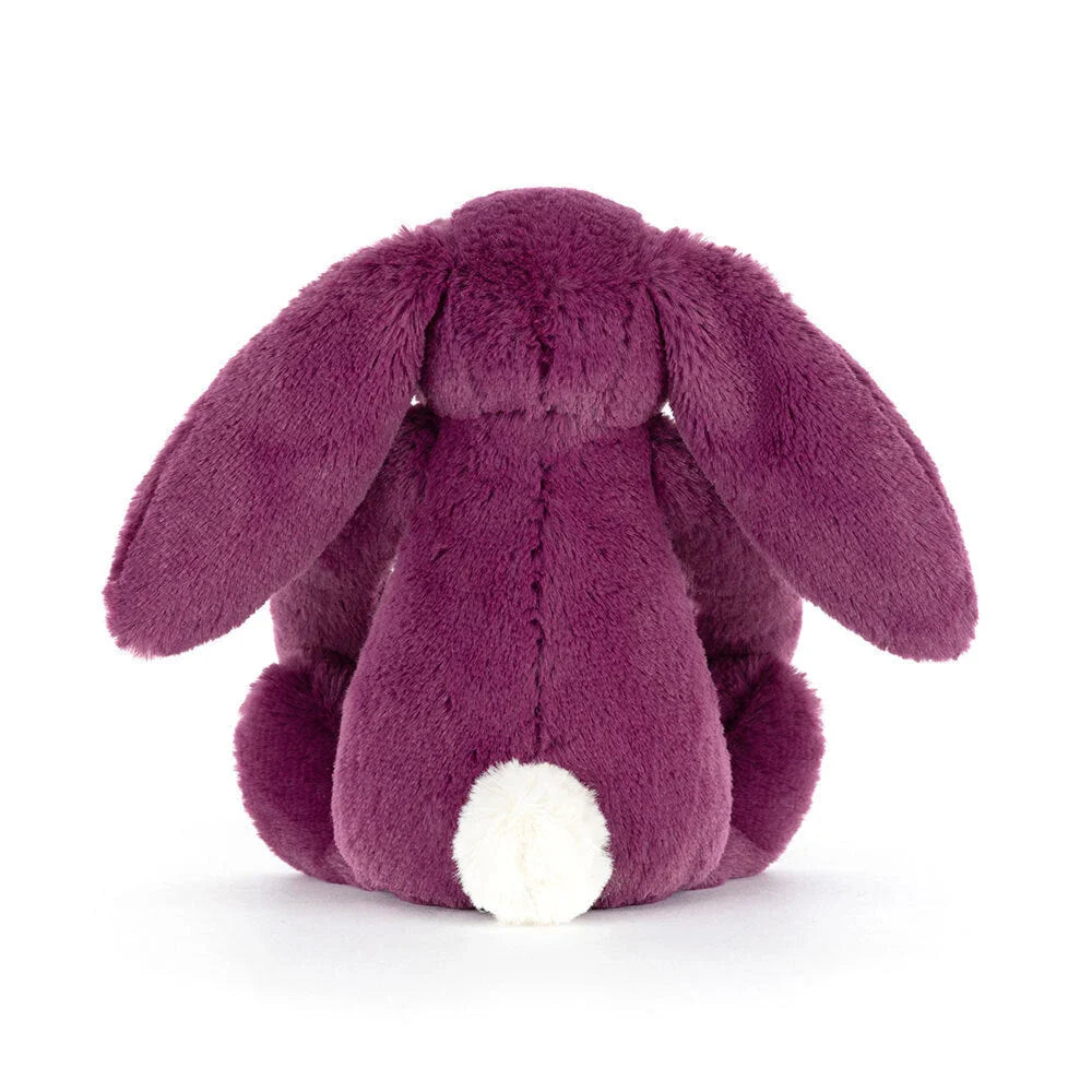 Bashful Bunny | Allium Little (Small)