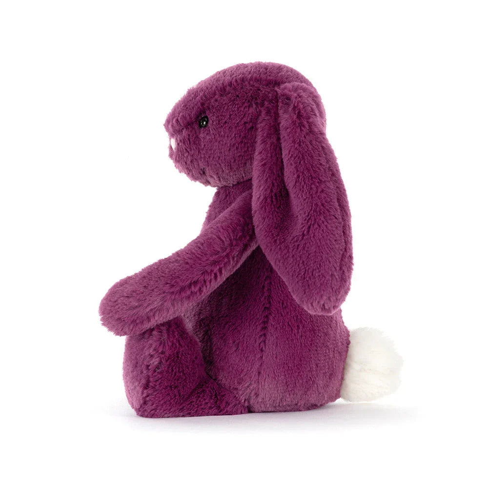 Bashful Bunny | Allium Little (Small)