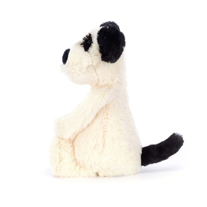 Little (Small) | Bashful Black & Cream Puppy