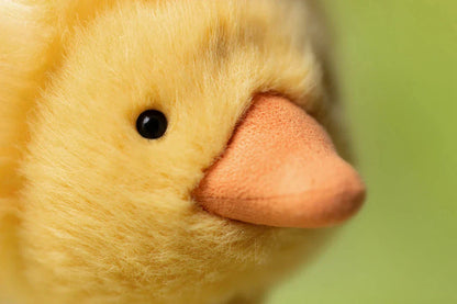 Dorit Duckling