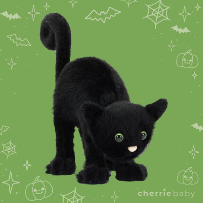 Halloween | Spookipaws Cat