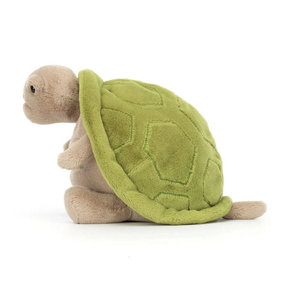 Timmy Turtle | Big